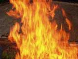 Закарпаття: У вогні на Перечинщині загинули двоє маленьких діточок