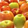 Торік на Закарпатті було закладено більше 110 га інтенсивних яблуневих садів