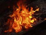 Закарпаття: Літня жінка загинула на пожежі на Виноградівщині 
