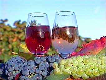 АНОНС. С 1 февраля частных виноделов Закарпатья будут учить, как правильно работать с туристами