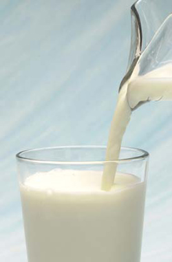 У січні на Закарпатті вироблено 16 тисяч тонн молока