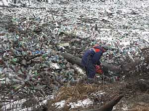 У закарпатській річці Латориця щоденно "виловлюють" 16 тонн різного сміття 