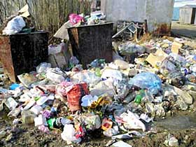 Кабмін виділить Ужгороду півмільйона на сміття