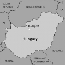 В Угорщині почав діяти уряд меншості