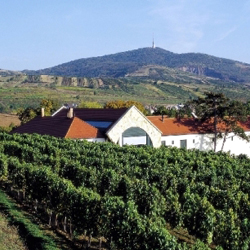 Угорщина запрошує на фестиваль токайських вин