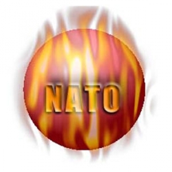 Угорщина обіцяє підтримку Україні при приєднанні до ПДЧ в НАТО в грудні 2008 року