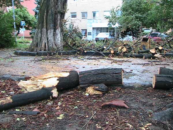 Страшна буря, що вночі пронеслася Ужгородом, завдала чимало лиха: повалено електричні та телефонні стовпи, поламано рекламні щити, повалено дерева