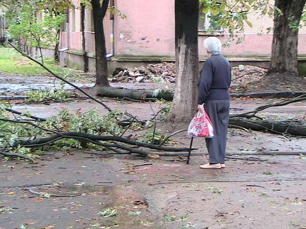 Страшна буря, що вночі пронеслася Ужгородом, завдала чимало лиха: повалено електричні та телефонні стовпи, понівечено рекламні щити, зламано і вирвано з корінням дерева