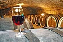 Виробництво вина на Закарпатті знизилося на 9 відсотків