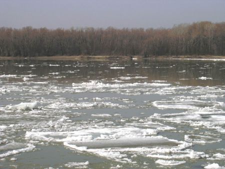 На Закарпатті рятувальники МНС ліквідовують льодові затори на річках і забезпечують безпеку населення