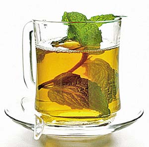 Закарпаття: Біля Мукачева 60 років існує унікальна чайна плантація