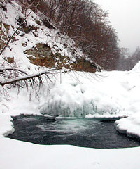 Найбільша товщина льоду на річках Закарпаття - 11 сантиметрів