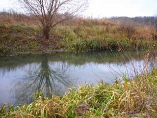 На річках Закарпаття спостерігається підвищення рівнів води на 0,2-0,7 м