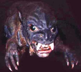 Жителі Карпат бачили міфічного звіра "Чупакабру"
