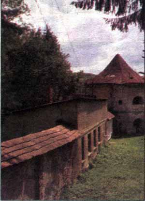 У закарпатському селі Довге відроджують замок-фортецю Довгаїв-Телекі