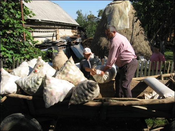 Петро Яцків із помічником вантажать на віз яблука, які зібрала Ольга Грицищук