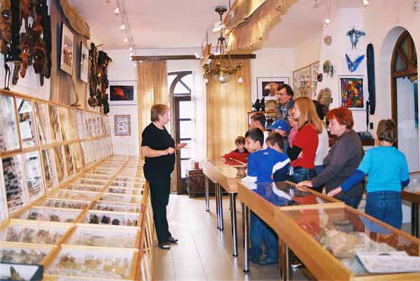 Маленькі українці Угорщини відвідали Музей метеликів (ФОТО)