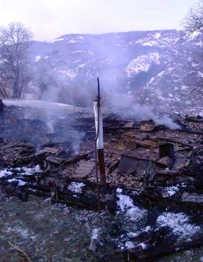 На Закарпатті в приватному господарстві згоріли 36 свиней і поросят (ФОТО)