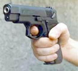 Закарпатський  підприємець пострілом з пістолета вбив грабіжника (ОНОВЛЕНО) 