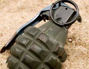 Ужгородка на своєму городі знайшла бойову гранату Ф-1 