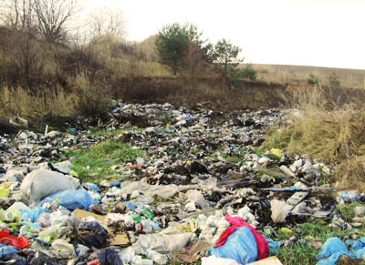 На Закарпатті ліквідовано 223 стихійні сміттєзвалища