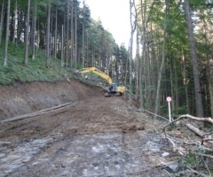 Закарпатський лісгосп отримає нову техніку для будівництва лісових доріг