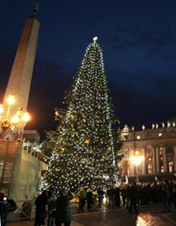 На головній площі Ватикану засвітили ялинку з Закарпаття (ФОТО, ВІДЕО)