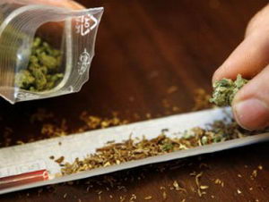 Міліція знайшла марихуану в студентському гуртожитку