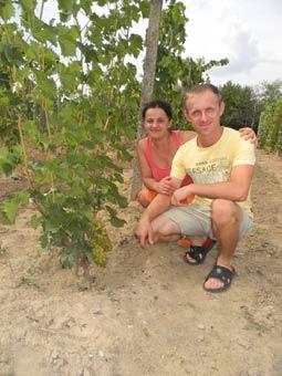 Закарпатець вирощує 80 сортів винограду, гарбузи та азійські дині