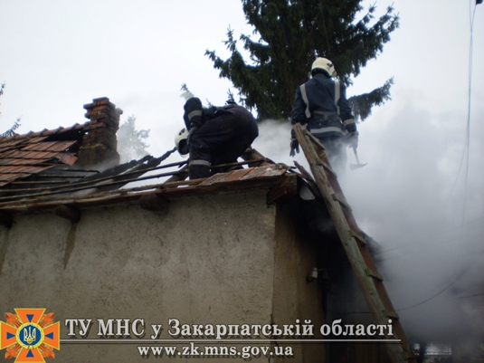 На Берегівщині під час пожежі в будинку загинула жінка (ФОТО)