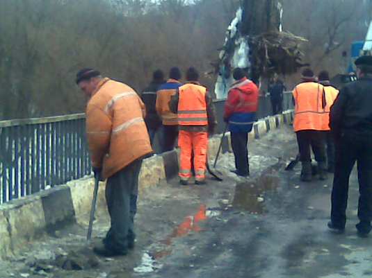Через дерево під мостом МНСники перекрили дорогу на 2 години (ФОТО)