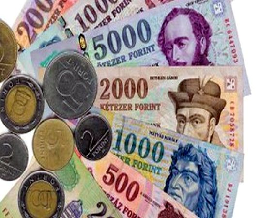 Угорський Центробанк використовує форинти для опалення бідних регіонів