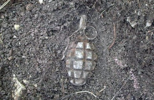 На Тячівщині жінка знайшла ручну гранату в саду
