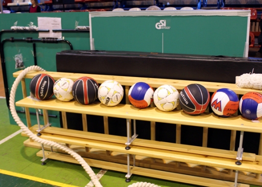 Закарпатські школи отримали 11 комплектів спортінвентарю