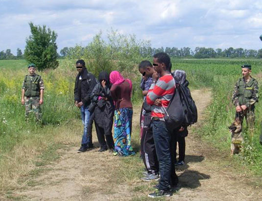 На Закарпатті затримали 10 сомалійців, які намагалися потрапити до Словаччини
