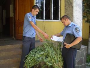 Закарпатська міліція "збирає" значні урожаї маку та конопель