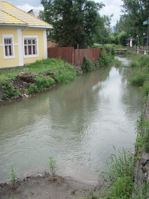 У Буштині відроджують «селищну» річку