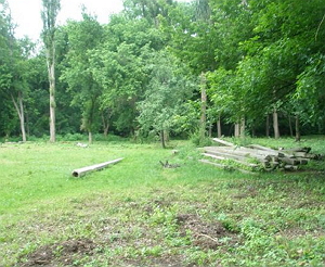 Замість обіцяної фан-зони в Боздоському парку ужгородцям залишили тільки пні вирубаних дерев
