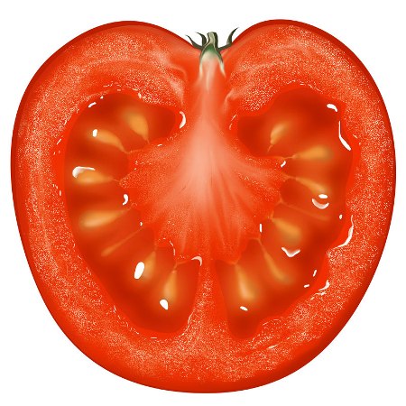 На Закарпатті під час розмитнення затримано 4,5 т заражених іспанських томатів