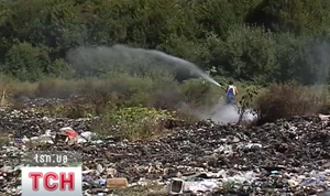 Біля села Бронька на Іршавщині горить сміттєзвалище (ВІДЕО)