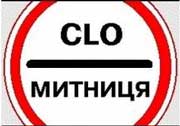 Чопські митники затримали словака, який намагався ввезти в Україну антикварну ікону (ФОТО)