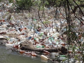 На Латориці в межах Ужгородщини виявили 19 сміттєвих заторів