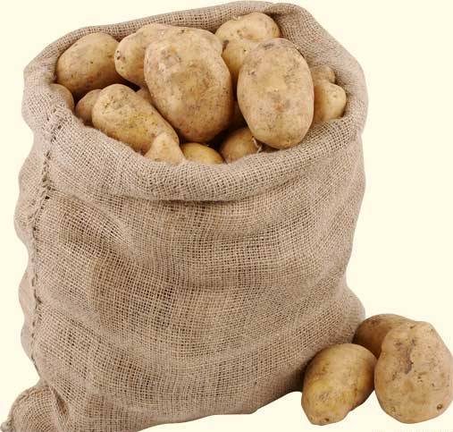 На Закарпатті найдешевша в Україні картопля