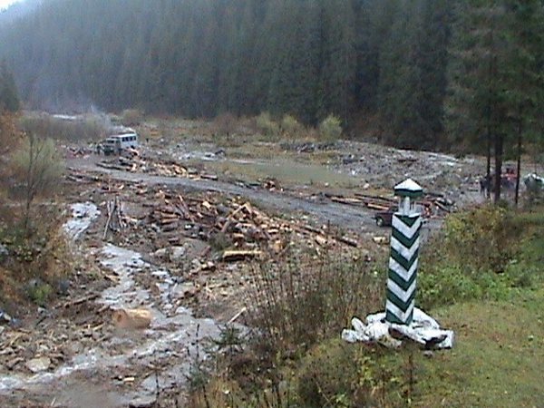 Екологи виявили порушення при рубці лісу на Свалявщині 