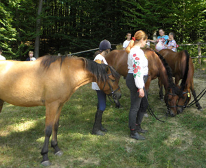 Найкращим гуцульським конем України визнали кобилу Манорію (ВІДЕО)