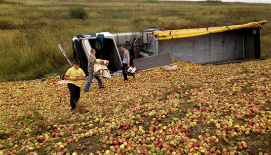 Біля Середнього узбіччя дороги всипане яблуками з перевернутої вантажівки (ФОТО)