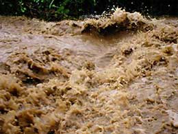 Через дощі в річках Закарпаття різко піднімуться рівні води
