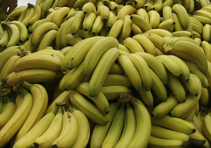 Журналістам BBC заборонили їсти банани на робочому місці