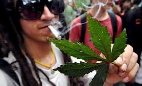 На Закарпатті більш «популярні» синтетичні «дискотечні» наркотики та марихуана
