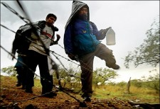 Закарпатці знаходять "дірки" в кордоні, аби заробити на нелегалах (ВІДЕО)